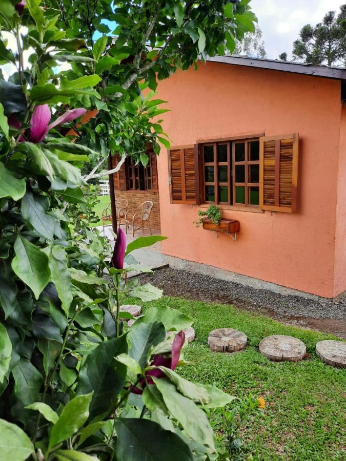 Villa Fazenda Tamandua Casa De Campo - Cabana Coragem à Rio Rufino Extérieur photo